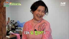 도와줘요 복길엄마!! 의자도 뚝딱뚝딱 잘 만드는 맥가이버 복길엄마의 목공 노하우 대방출! | tvN STORY 230313 방송