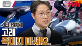 그저 빛...★ 나무보다 환경보호 잘하는 동물?? ※고래가 죽으면 안 되는 이유!※ | tvN 230314 방송