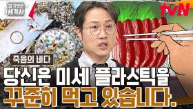 우리는 매주 신용카드 1장의 미세 플라스틱을 먹는다!😲 먹이사슬을 타고 돌아오는 미세 플라스틱 | tvN 230314 방송