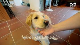 [선공개] 부여 두 번째 만남 : 온종일 함께할 개