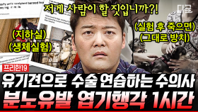 분노 주의⚠ 정말 사람이 한 짓이라고?? 인간의 탈을 쓴 악마가 저지른 실화👿 | #프리한19 (1시간)