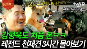 내 인생을 망치러 온 나의 구원자🐶 보호자가 있는 곳이라면 지옥인 줄 알면서도 함께😭 강형욱 피셜 기특한 천재견 3시간 모음.zip💝 | #고독한훈련사 #티전드