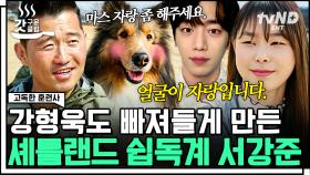 강아지가 서강준을 닮을 수도 있는 거임? 마스도?🐾 톱모델 진정선의 세상을 완전히 바꿔 준 반려견💗 | #고독한훈련사 #갓구운클립