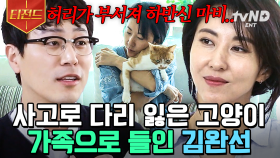 6명의 냥이🐈와 함께 사는 김완선 하우스🏡 냥이가 엄마에게만 계속 야옹야옹 울었던 사연은❓ | #대화가필요한개냥 #티전드