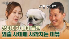 어린 시절 강아지 37마리까지 키워본 배우 이승연의 트라우마😨 | tvN STORY 230330 방송