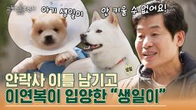 이연복 셰프가 안락사 직전에 데려온 강아지 '생일이' 작명 센스 ㄷㄷ | tvN STORY 230406 방송