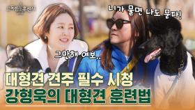 으르렁거리는 스탠다드 푸들 ＂스탠이＂ 길들이는 방법! 강형욱이 조언하는 미러링 트레이닝 | tvN STORY 230330 방송