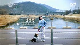 톱모델 ＂진정선＂이 키우는 롱다리 ＂마스＂를 소개합니다♡ 강아지랑 견주 판박이! | tvN STORY 230323 방송