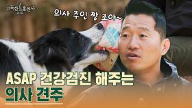 연희동 사는 의사 부녀♡ 반려견이 아프면 의사 아빠가 속전속결 건강 체크! | tvN STORY 230406 방송