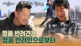 아빠 특) 검색하는 데 한참 걸림ㅋㅋ 어질리티까지 완벽 접수한 ＂생일이＂ | tvN STORY 230406 방송