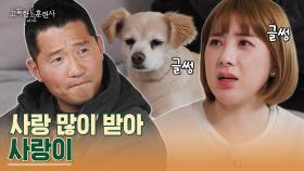 서인영이 배우 장나라와 봉사하다 만나게 된 유기견 ＂사랑이＂💖 | tvN STORY 230413 방송