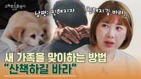 ★친해지길 바래★ 서인영 남편과 강아지의 숨 막히는 어색함...! | tvN STORY 230413 방송