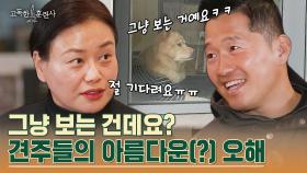 내가 외출하면 개들은 하염없이 창문만 바라봐요ㅠㅠ | tvN STORY 230420 방송
