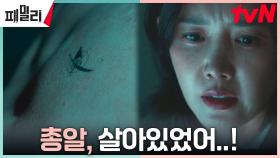 채정안, 도미닉의 시체 확인하다 무언가 발견? | tvN 230501 방송