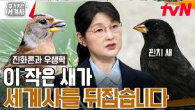 티라노사우루스의 320배 더 강한 작은 새?? 핀치 새에서 시작된 다윈의 진화론! | tvN 230502 방송