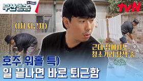 1시 반 퇴근?! 호주 워홀은 일.출.일.퇴! 근데 집에 와서도 청소가 몸에 배어버린 이시언ㅋㅋ | tvN 230521 방송