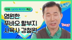 영원한 푸바오 할부지 사육사 강철원 | #금이야옥이야