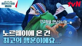 4형제 벅차오르게 한 피오르의 대자연.. 한 편 크루즈에서 탄생한 한 쌍의 커플💗..? | tvN 230601 방송