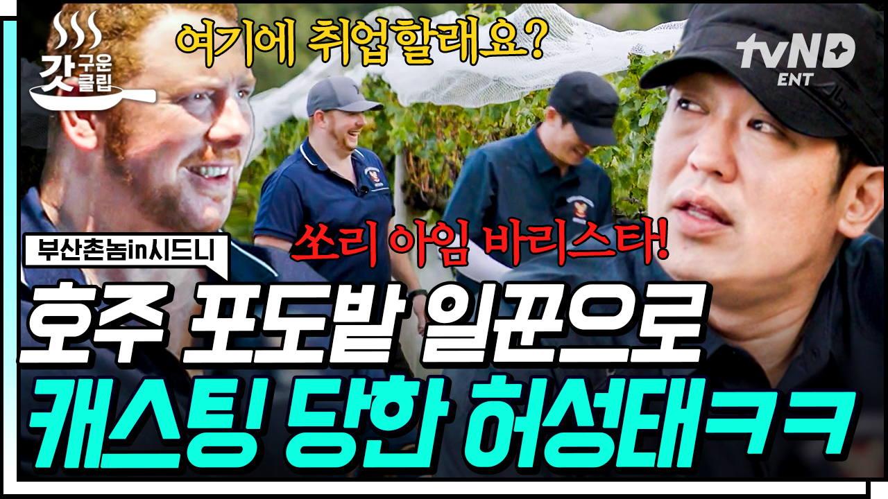 ＂쏘리 아임 바리스타!＂ 포도밭 사장님 캐스팅 제안 거절하는 본 투 비 바리스타 허성태✨ | #부산촌놈in시드니 #갓구운클립 | ZUM TV