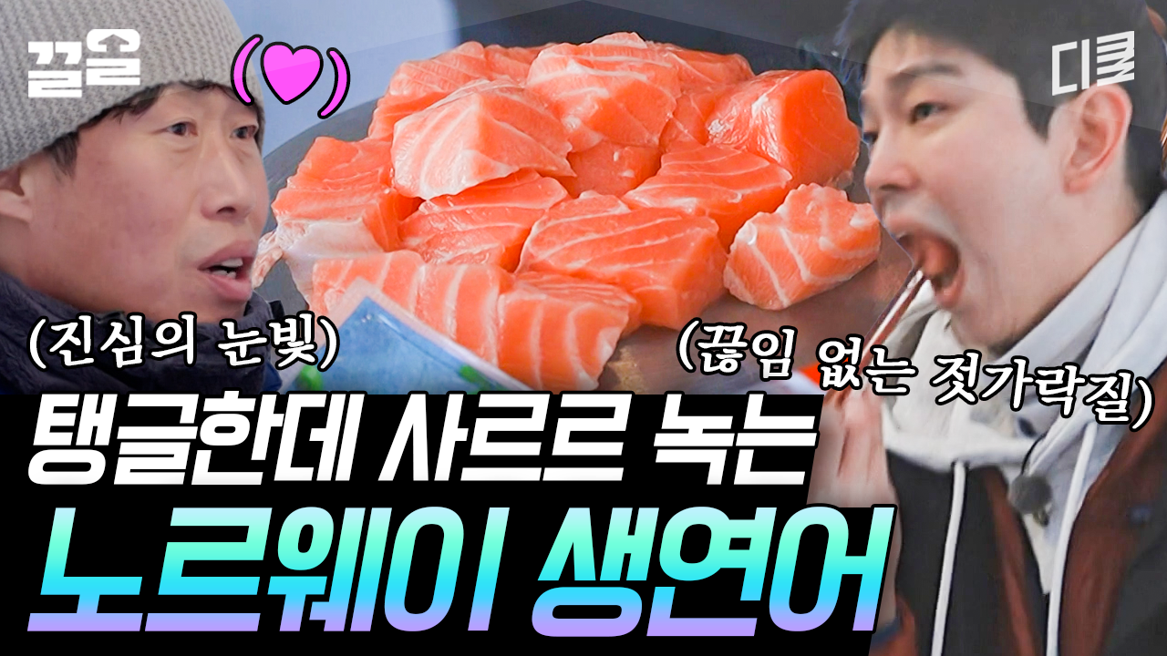 노르웨이 현지에서 맛본 연어의 맛! 씹을수록 입안 가득 퍼지는 신선한 고소함에 손이 가요~ 손이 가♥ | 텐트밖은유럽노르웨이편 | ZUM TV