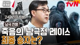 승자에게는 영광을, 패자에게는 죽음을... 스콧 VS 아문센 남극점 레이스 최종 승자는?? | tvN 230627 방송