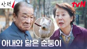 이순재, 순둥이에게서 비춰보이는 아내 선우용여의 모습 | tvN 230723 방송
