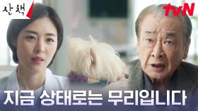 아픈 순둥이 두고 떠나야만 하는 이순재, 불편한 마음ㅠㅠ | tvN 230723 방송