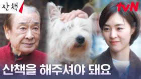 ＂같이 가보시겠어요?＂ 이연희, 이순재에게 노견 순둥이를 위한 산책 권유 | tvN 230723 방송