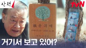이순재, 그곳에서 재회했을 선우용여X순둥이를 향한 마음 | tvN 230723 방송