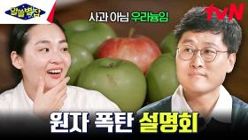 물리학자+밀덕 김상욱이 설명하는 원자 폭탄의 원리 (with 사과&블루베리) | tvN 230803 방송
