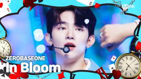 [K-POP 시간 여행 특집] ZEROBASEONE (제로베이스원) - In Bloom | Mnet 230817 방송