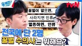 갑자기 사라져 버린 꿀벌?! | 수박, 딸기와 같은 과일이 비싸지는 이유 | tvN 230816 방송