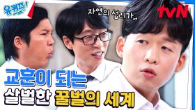 일벌에서 여왕벌로 신분 상승하는 방법 #유료광고포함 | tvN 230816 방송