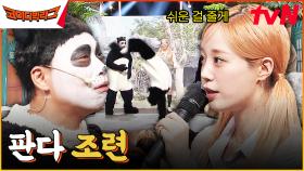 에바랜드 | 💥충격💥 백덤블링하는 판다가 실존?! 영지 허그 한 번에 단전까지 끌어올린 알파카 침 한번💦 | tvN 230823 방송
