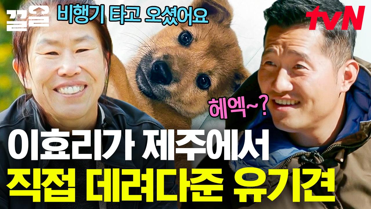 제주서부터 비행기까지 타고 직접 유기견 섬돌이 데려다주고 잘 지내는지 사진까지 확인하는 멋진 그녀💖 | 고독한훈련사 | ZUM TV
