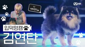 [입덕멍캠🐾] 뷔 💜 김연탄 직캠 4K 'Slow Dancing' (V 💜 YEONTAN FanCam)