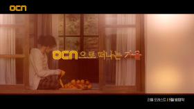 OCN｜[시즈널 ID] OCN으로 떠나는 가을🍂