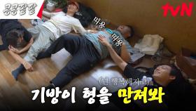기방이 형 이건 못 참지🤣 성인 남성들의 촉감 놀이 #유료광고포함 #콩콩팥팥 | tvN 231027 방송