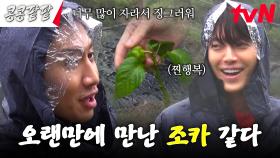 작물들의 성장에 웃음꽃 핀 일희일비 농사꾼들 #콩콩팥팥 | tvN 231103 방송