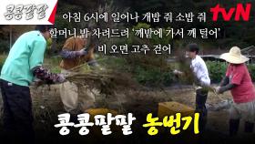 깨 털기 ASMR｜다시 돌아온 극한의 효율러 도경수 #콩콩팥팥 | tvN 231201 방송