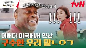 전라도 사투리 쓰는 외국 손님? 한국인은 영어 쓰고 외국인은 한국어 씀 | tvN 231207 방송