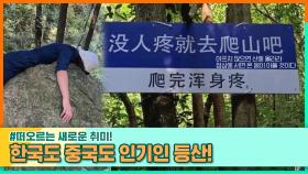 오르는 새로운 취미! 한국도 중국도 인기인 등산! | 중화TV 231210 방송