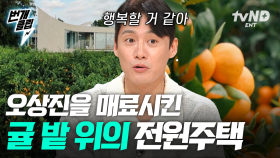 제주 그 자체! 귤밭 품은 전원주택을 공개합니다🍊 사방이 감귤로 둘러싸인 오감만족 힐링 하우스🍃 | #프리한닥터M #번개클립