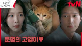 박민영X나인우, 특별한 운명의 연결고리 '캠퍼스 고양이'🐈💙 | tvN 240123 방송