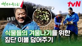 원종님 민속촌 출신이세요? 겨울 대비 짚단 꼬기 #유료광고포함 | tvN 240120 방송