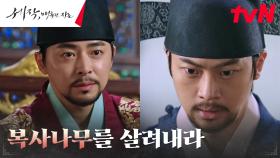 조정석, 파직 위기 이신영에게 내린 뜻밖의 어명 (ft. 기대령) | tvN 240203 방송