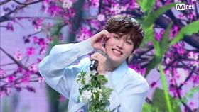한음 - Florist | Mnet 240328 방송