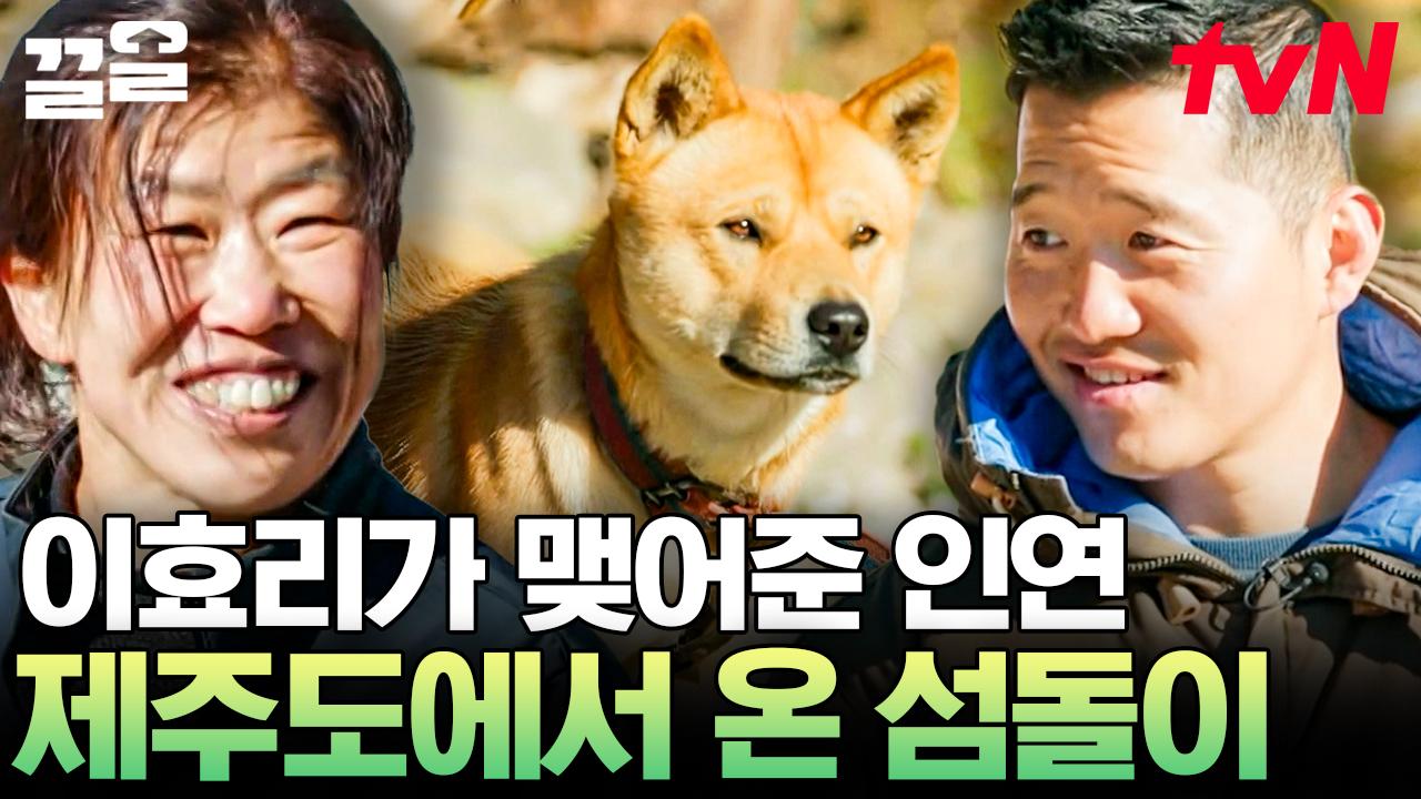 이효리가 맺어준 소중한 가족👪💓 제주도에서 비행기 타고 건너왔다는 유기견 섬돌이 이야기 | 고독한훈련사 | ZUM TV