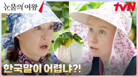 카드 정지 당한 재벌 사모님 나영희, 글로벌 꼰대에게 배우는 노동의 가치?! | tvN 240407 방송
