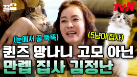 〈눈물의 여왕〉 망나니 고모 '김정난'의 본캐 등장💥 알고 보면 5마리 고양이의 만랩 집사라고?🐱 | 대화가필요한개냥
